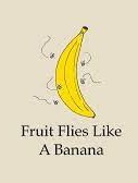 Fruit Flies Like a Banana