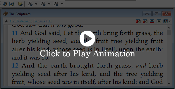Example of adding a bookmark